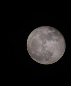 Celestron: Celestron - PowerSeeker 80EQ Telescope - Manual German Equatorial Telescope for Beginners - Compact and Portable - Bonus Astronomy Software Package - 80mm Aperture 80EQ Refractor 52 51RzhjpHySL