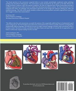 Alternative view of Atlas of Congenital Heart Disease Nomenclature: An Illustrated Guide to the Van Praagh and Anderson Approaches to Describing Congenital Cardiac Pathology