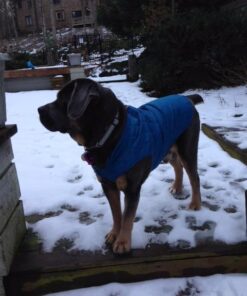 Kurgo Loft Dog Jacket, Reversible Dog Coat, Wear with Harness or Sweater, Water Resistant, Reflective, Winter Coat For Large Dogs (Coastal Blue, XL) Extra Large Coastal Blue/Orange 69 51SBzHR8XL