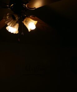 Philips LED Frosted A19 Light Bulb, Non-Dimmable, 800 Lumen, Daylight (5000K), 9W=60W, E26 Base, 16-Pack Daylight (5000k) 16 Count (Pack of 1) 59 51SSn8NG94L