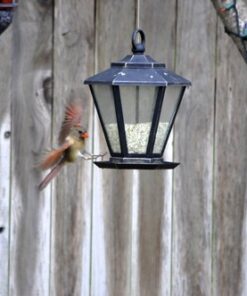 Nikon AF-S DX NIKKOR 55-300mm f/4.5-5.6G ED Vibration Reduction Zoom Lens with Auto Focus for Nikon DSLR Cameras Lens Only 24 51ST9sQMOML