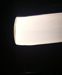 The Ultimate Guide to Tarot Card Meanings 31 51Ss1nSLFL