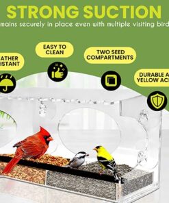 Large Clear Window Bird Feeder - Extended House with Strong Suction Cups - Steel Perch Sliding Feed Seed Tray - See Through Transparent Big Birdhouse - Wild Finch, Cardinal, Blue Jay - Cool Cat Gift 54 51StEWmoQmL