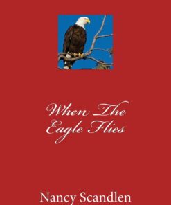 When The Eagle Flies