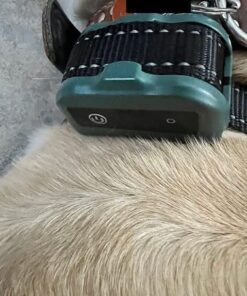 UPGRADED Q6 Rechargeable Bark Collar - Smart Barking Detection Module w/Triple Stop Anti-False Modes: Beep/Vibration/Shock for Small, Medium, Large Dogs & Breeds - IPx7 Waterproof (15-120 LBS) 47 51TkuSFWUNL