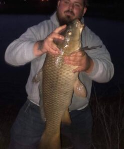 Ugly Stik GX2 Spinning Reel and Fishing Rod Combo 20 Size Reel - 4'8" - Ultra Light - 1pc 32 51TyiEcGL