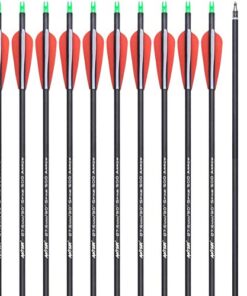 ANTSIR 30 Inch Carbon Arrows Practice Targeting Arrows with Removable Tips for Compound and Recurve Bow(Pack of 12) A-Red White 21 51UAITqsd5L