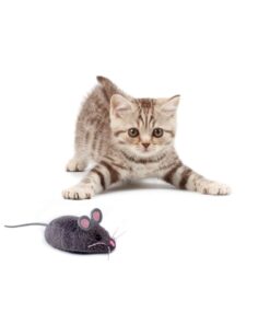 HEXBUG Mouse Robotic Cat Toy (GREY) for all breed sizes 20 51UIoBD1J8L