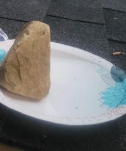 Dixie Paper Plates, 8 1/2 inch, Dinner Size Printed Disposable Plate, 90 Count Multicolor 29 51UNYe6i3UL