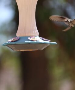 Sorbus Bird Feeding Station - 7ft Tall Metal Pole Bird Feeder Stand with 2 Ground Stake Prongs & 4 Hangers with Bird Bath, Bird Food Mesh Tray for Attracting Wild Birds Outside, Garden Decor, Plants 2-Prong Stake 31 51UR1OKH44L