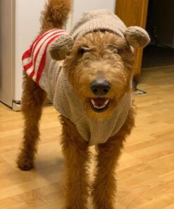 StopWoof Dog Bark Collar - Humane Care Modes, Vibration & Sound - No Shock Training Device For Small, Medium, Large Breeds - No Harm Deterrent Vibrating Control - Reflective & Automatic Without Remote 22 51UUVuHewxL