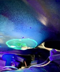 InterDynamics Certified Auto Pro Oil and Fuel System UV Dye Leak Detection for Cars & Trucks & More, 1 Oz, 374CS, Universal 14 51UqkRtRIkL