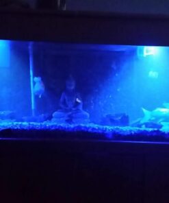 BN-LINK Digital Timer Outlet 24-Hour Programmable Digital Outlet Timer with 2 Independent Outlets 3-Prong Mini Indoor Easy Set Stackable Plug-in for Lights Lamps Fans Accurate 8A/1000W 1/3HP 3 prong 39 51VB0kSGhL