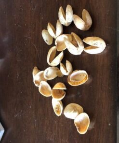 Wonderful Pistachios In Shell, Salt & Pepper, 48 Ounce Resealable Bag, Healthy Snack, Protein Snack, Pantry Staple (48 oz) 48 Ounce (Pack of 1) 35 51VCH7zaXtL