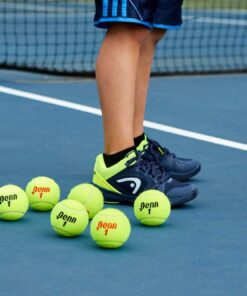 Penn Championship Tennis Balls - Extra Duty Felt Pressurized - 4 Cans, 12 Balls 25 51VL1YCpL