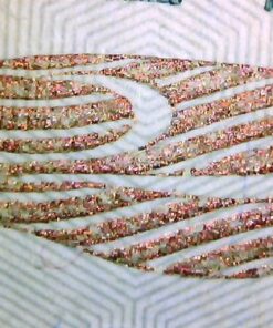 Supereyes B005+ 1~200X Handheld USB Digital Microscope Endoscope Loupe Otoscope Magnifier with 11mm Diameter Health Kit Tripod 11 51VgNcyqR8L