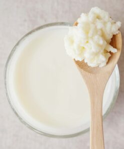 Cultures for Health Milk Kefir Grains | DIY Frothy Dairy Non-GMO Probiotic Drink for Stronger Gut Health | Limitless Heirloom Style Starter | Easy to Flavor or Add to Recipes | Bulgaros De Leche 36 51VqKKPC lL