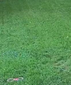 Scotts EZ Seed Patch & Repair Sun and Shade Mulch, Grass Seed, Fertilizer Combination for Bare Spots and Repair, 4 lb 3.75 lb. 1 Pack 47 51VuLFaCq7L