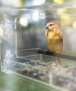 Wild Birds of Joy Window Bird Feeder with 4 Super Strong Suction Cups & Sliding Seed Tray, Large, Clear Acrylic, Easy Clean, Outdoor Bird Feeders, Outside View Up Close of Finch, Cardinal and Blue Jay 32 51WC0PbB PL