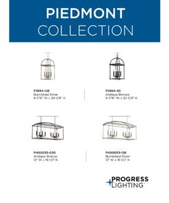 Progress Lighting Piedmont Collection Four-Light Cage Entry Light, Antique Bronze 13-3/8-Inch Width x 20-3/8-Inch Height 29 51WC2ScoeOL