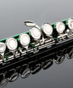 Glory Closed Hole C Flute With Case, Tuning Rod and Cloth,Joint Grease and Gloves Green 15 51WJR d15lL