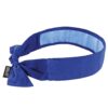 Ergodyne Chill Its 6700CT Cooling Bandana, Lined with Evaporative PVA Material for Fast Cooling Relief, Tie for Adjustable Fit, Blue Solid Blue Each 36 51WZLikm9fS