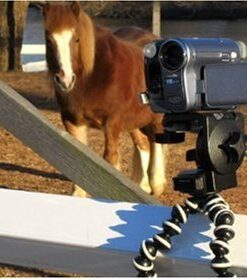 JOBY GorillaPod SLR Zoom. Flexible Tripod for DSLR and Mirrorless Cameras Up To 3kg. (6.6lbs). Leg Only GorillaPod SLR Zoom Stand 19 51WmFTll5yL