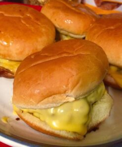 Little Griddle KQ-17-R Stainless Steel Outdoor BBQ Griddle, 17 x 14, For Charcoal Kettle and Kamado Grills, Fun to Use, Easy to Clean 47 51Wx6cefKzL