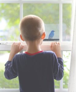 Yardly Noticed Window Bird Feeder with Removable Tray, Drain Holes, Extended Perch, 4 Suction Cups - Crystal Clear See Through Design 2017 - See Wild Birds Up Close, Great for Kids & Cats Large 23 51XHhTolOtL