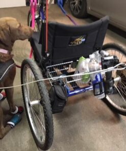 Springer Hands Free Dog Leash Bike Attachment Kit -Pet Exerciser for Running, Walking Jogging - Universal Fit for Bicycles - Quick Release, 18-Inch Rope 16 51XWQn9ZL7L