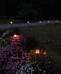 TomCare Solar Lights Metal Flickering Flame Solar Torches Lights Waterproof Outdoor Heavy Duty Lighting Solar Pathway Lights Landscape Lighting Dusk to Dawn Auto On/Off for Garden Patio Yard, 4 Pack Black 32 51Xqb1tBqGL