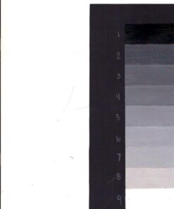 Neenah Exact Vellum Bristol, 8.5" x 11", 67 lb/147 gsm, White, 94 Brightness, 250 Sheets (80211) 250 Count (Pack of 1) 51 51XwwDHTbrL