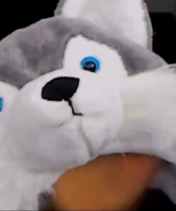 Super Z Outlet Cute Plush Animal Hat Winter Warm Winter Fashion Clothing Accessories (Husky/Wolf-Short) Grey 27 51YDUw4Lk6L