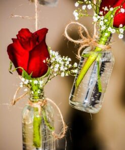 Premium Vials B26-12 Boston Round Glass Bottle with Cap, 2 oz Capacity, Clear (Pack of 12) 16 51Yyp5y0kL