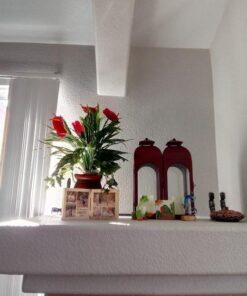 Nearly Natural 6678 Mixed Greens and Anthurium with Vase Decorative Silk Plant, Green 31 51ZB7JJWGIL