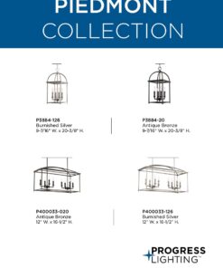 Progress Lighting Piedmont Collection Four-Light Cage Entry Light, Antique Bronze 13-3/8-Inch Width x 20-3/8-Inch Height 31 51ZBFYJ8saS