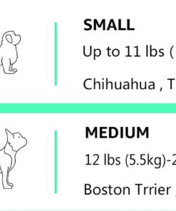 Amazon Basics - 2-Door Top-Load Hard-Sided Dogs, Cats Pet Travel Carrier, Gray & Blue, 22.8"L x 15.0"W x 13.0"H Two-Door Top-Load 57 51ZF29EKMCS 1