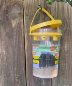 Flybuster Fly Trap - Outdoor Living, Fly Trap, Pest Control Trap for Garden 26 51Zq2l5EQ2L