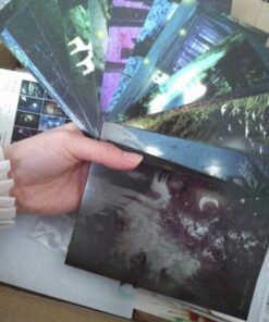 Glow In The Dark Postcards Set of 30 Woodland Animals Forest Deer Postcard Post Card Greeting Cards (Variety Pack) 37 51aGDylKnNL