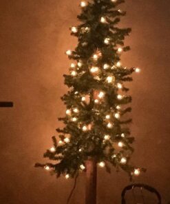 Vickerman 4' Natural Alpine Artificial Christmas Tree - Pre lit Alpine Tree with 337 PVC Tips and 100 Clear Lights- Rustic Artificial Tree for Seasonal Indoor Home Decor -Tree Stand Included 4' Green 19 51ajSVmS8LL