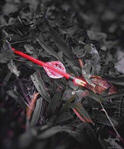 Nockturnal Lighted Nocks for Arrows with .246 / .244/204 Inside Diameter Red .204" Nock 10 51asutp49L