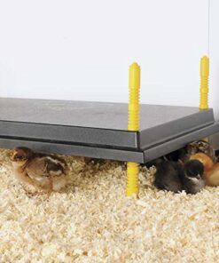 Alternative view of Premier Chick Brooder Heating Plate - 16" x 24"