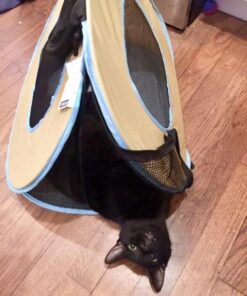 Necoichi Portable Stress Free Cage Carrier and Litter Box, Indoor & Outdoor, Travel (Beige, Carrier) Beige 29 51bWGp qtL 1