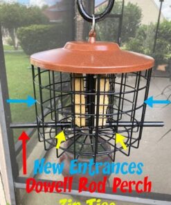 More Birds Squirrel-X Double Suet Feeder, Outdoor Wild Bird Feeder, Cage Bird Feeder, 2 Suet Cake Capacity 23 51bjsSyQIL