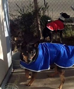 Zack & Zoey Nor'Easter Blanket Coat, X-Large, Red 1 44 51bw84MV2mL 2