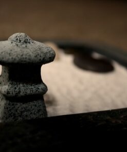 Toysmith Mini Zen Garden - Colors May Vary 1 33 51cKRrTAz8L