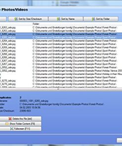 SortPix XL (2024) - Photo Management Software for Photo Organizing - Includes a Duplicate Photo Finder - Easy Photo Organizer Software for Windows 10 51cPKoNjnjL
