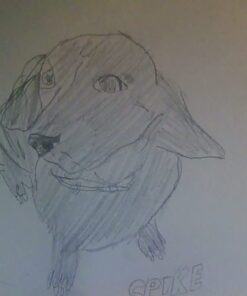 Norberg & Linden Drawing Set - Sketching and Charcoal Pencils - 100 Page Drawing Pad, Kneaded Eraser. Art Kit and Supplies for Kids, Teens and Adults 42 51cQxjvlhcL