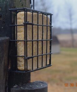 More Birds Suet Cage Bird Feeder, Fruit and Suet Feeder, Single Cake Capacity ,Black Black 37 51cZl6XKiYL