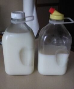 The Dairy Shoppe Heavy Glass Milk Bottles - Jugs with Lids and Silicone Pour Spouts - Clear Milk Containers for Fridge - Reusable Glass Milk Jug Dispenser - Made in USA (64 oz, 2 Pack) 64 oz 38 51clUTfI L